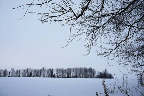 Zimowy krajobraz pól i dróg wiejskich — Zdjęcie stockowe