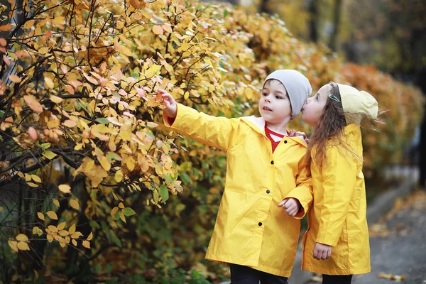 Los niños caminan en el parque de otoño — Foto de Stock