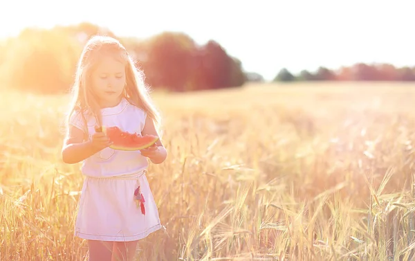 Una joven en un campo de trigo. Paisaje de verano y una chica en una na — Foto de Stock