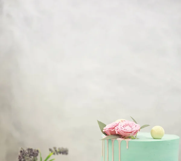 休日の菓子風味ケーキ — ストック写真