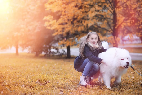 Mooi Meisje Een Wandeling Met Een Mooie Hond Een Park — Stockfoto