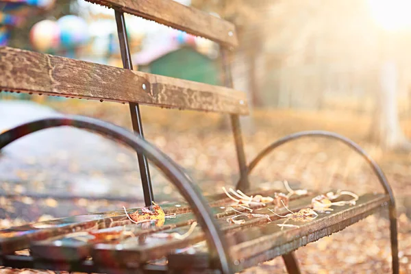 Herbstregen im Park — Stockfoto