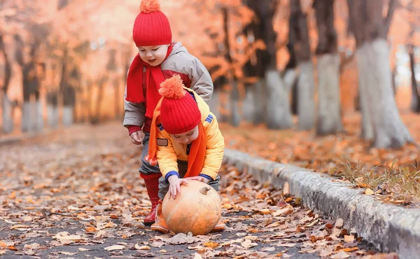 子供たちは、自然に歩いています。夕暮れの子供が歩いています。 — ストック写真