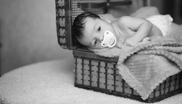 Bebê recém-nascido deitado na cesta e xadrez — Fotografia de Stock