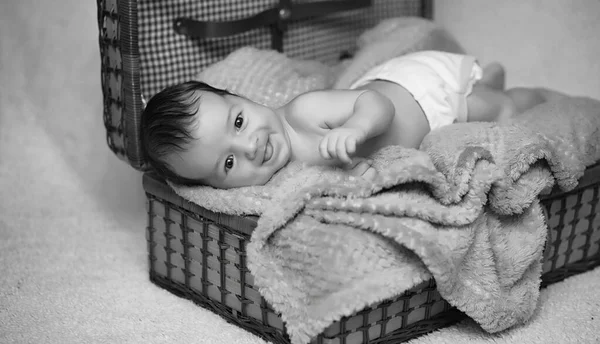 Newborn baby lying on the basket and plaid — Stock Photo, Image