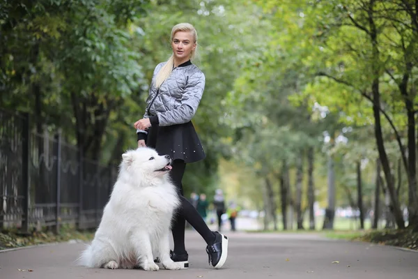 Menina encantadora em um passeio com um belo cão — Fotografia de Stock