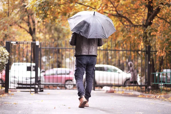 Autumn rainy park in October — Stock Photo, Image