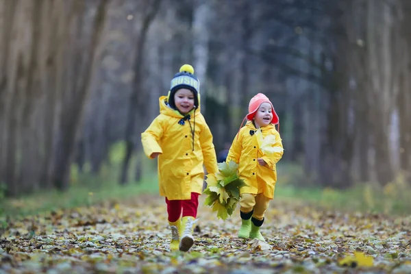 Çocuklar sonbahar parkında yürüyor. — Stok fotoğraf