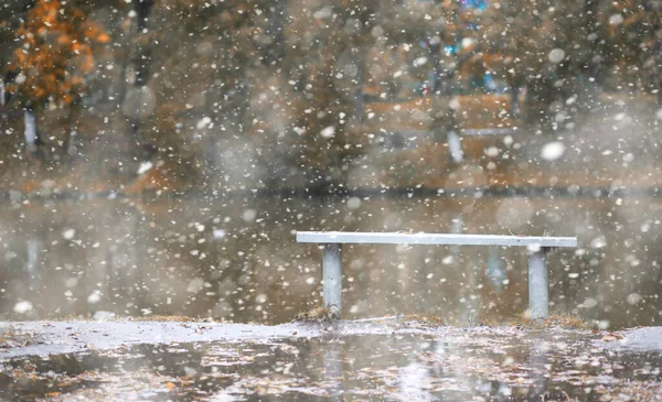 初雪の秋の公園 — ストック写真