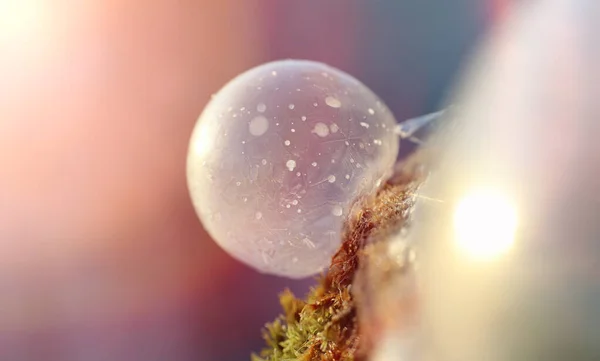 As bolhas de sabão congelam no frio. A água ensaboada do inverno congela em t — Fotografia de Stock