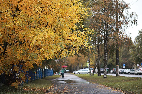 Őszi eső a parkban — Stock Fotó