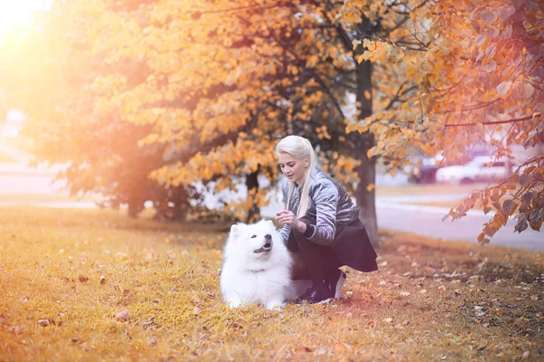 Härlig flicka på promenad med en vacker hund — Stockfoto