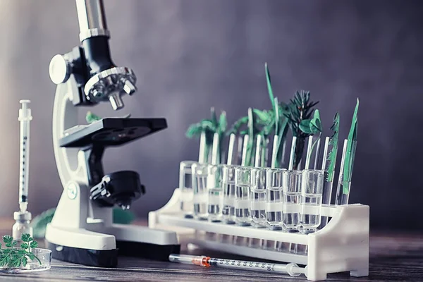 Mikroskop i przegrody do badań na stole w laboratorium. — Zdjęcie stockowe