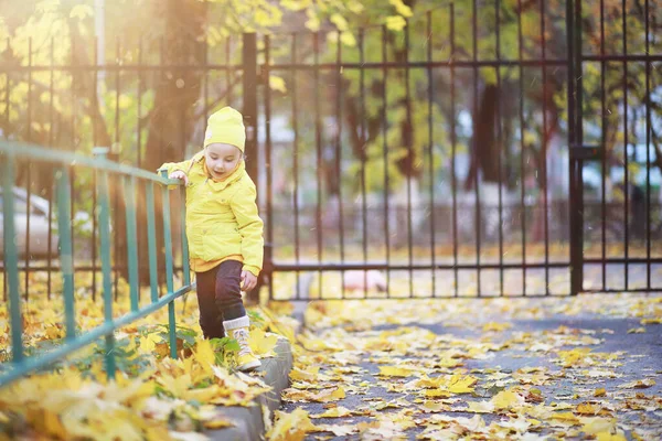 Barn gå i höst Park — Stockfoto