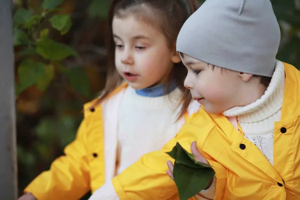 Děti chodí na podzim Park — Stock fotografie