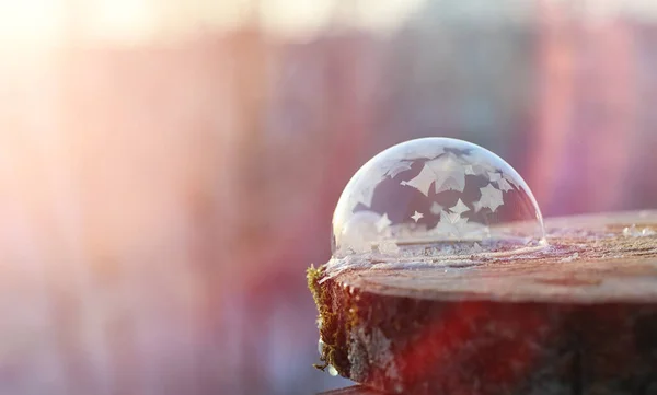 As bolhas de sabão congelam no frio. A água ensaboada do inverno congela em t — Fotografia de Stock