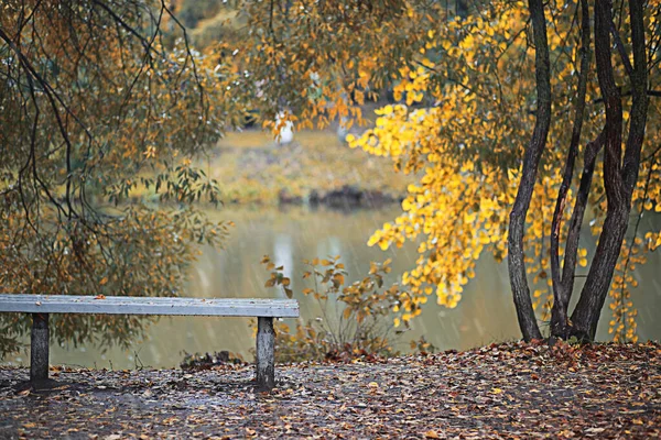 Podzimní déšť v parku — Stock fotografie