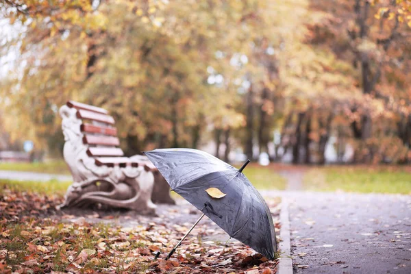 Autumn rainy park in October