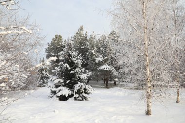 Winter Park 'ta. Karlı havada manzara manzarası. Ocak.
