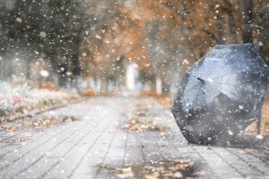 İlk karda sonbahar parkı