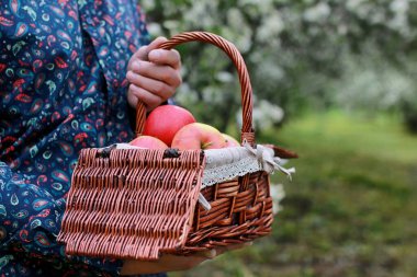 Adam holding sepet elma ile 