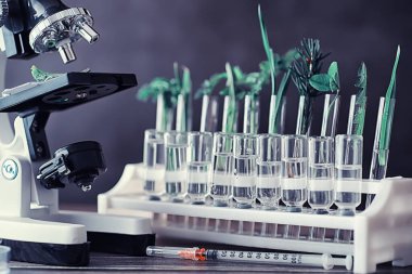 Mikroskop ve test bölümleri laboratuvardaki masanın üzerinde..