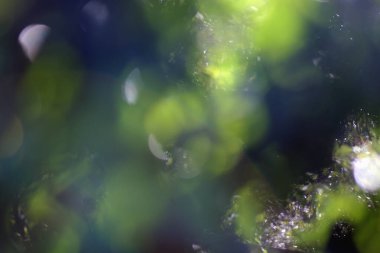 arka plan bulanıklık parlak yeşil