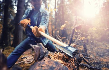 Male worker with an ax chopping a tree in the forest.