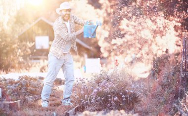 Adam çiftçi sebze Bahçe sulama