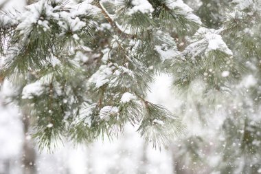 Kırsal alanların ve yolların kış manzarası