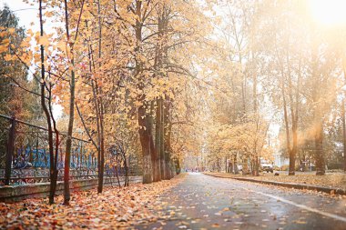 parkta sonbahar yağmur