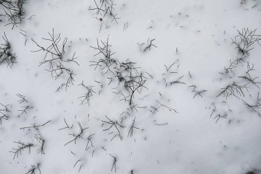 Kırsal alanların ve yolların kış manzarası