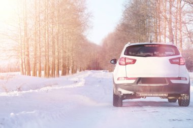 Kış ormanlarında park halindeki araba manzarası