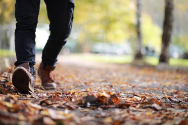 Parkta sonbahar arka plan