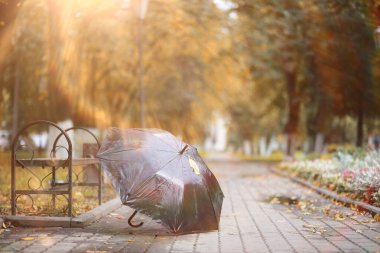 Parkta sonbahar arka plan