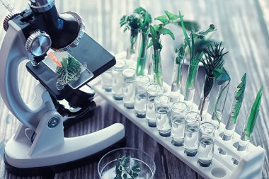 Mikroskop ve test bölümleri laboratuvardaki masanın üzerinde..