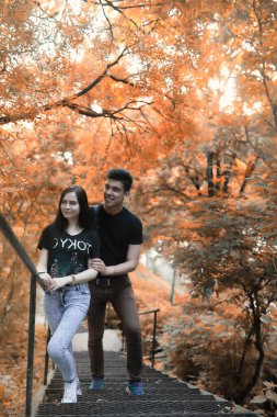 Genç sonbahar Parkta yürümek çift 