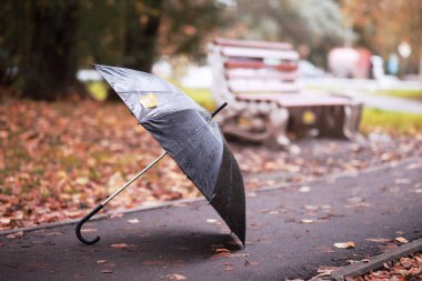 Ekim ayında sonbahar yağmurlu park