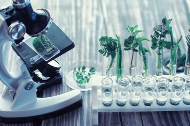 Mikroskop ve test bölümleri laboratuvardaki masanın üzerinde..