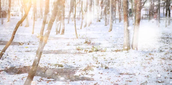 겨울 공원. 눈내리는 날씨 속의 풍경. 1 월. — 스톡 사진