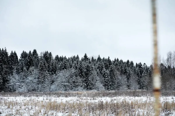 Paisaje invernal de campos y carreteras — Foto de Stock