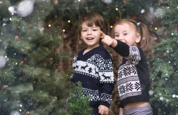 Uma criança junto à árvore de Ano Novo. As crianças decoram o Chris — Fotografia de Stock