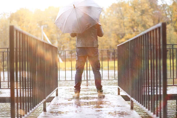 Herbst Hintergrund im Park — Stockfoto