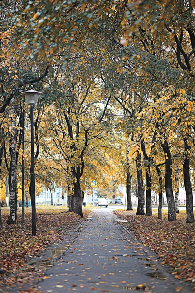 Autumn rain in the park — Stock Photo, Image