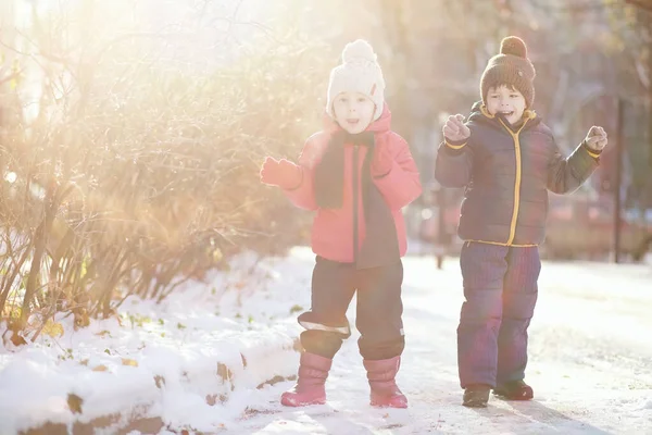 Милі Діти Теплому Одязі Грають Зимовому Парку — стокове фото