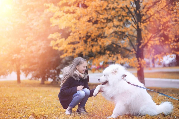 屋外の公園で美しい犬との散歩に素敵な女の子 — ストック写真