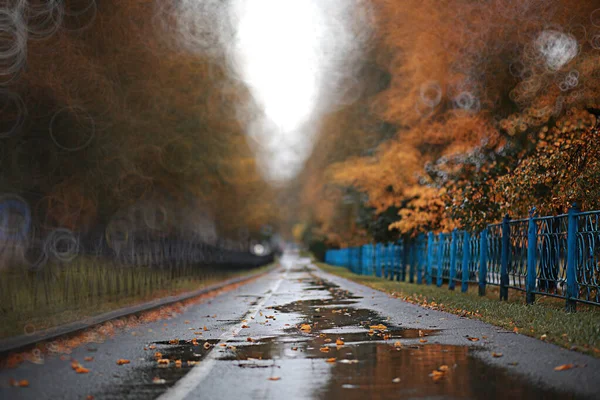 Lluvia de fondo de otoño en el parque —  Fotos de Stock