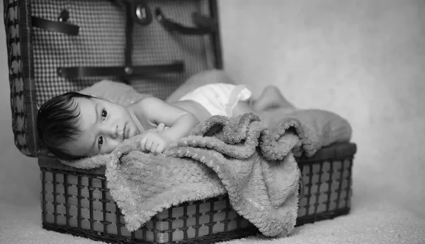 Novorozeně ležící na koši a kostkované — Stock fotografie