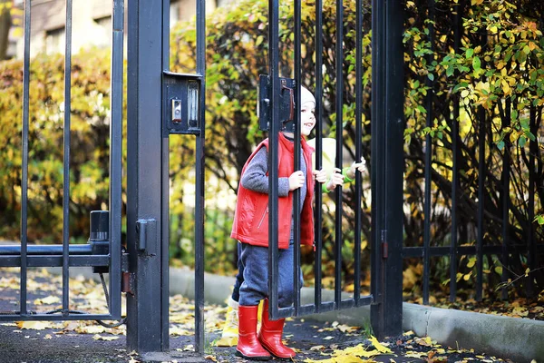 Çocuk sonbahar Park walk