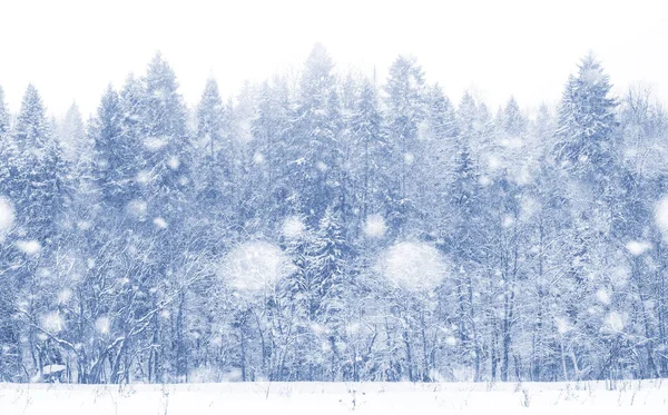 Пейзаж в зимовий день — стокове фото
